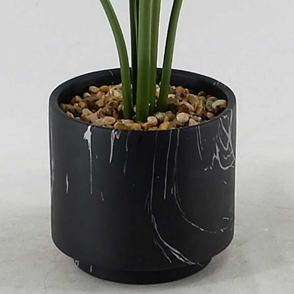 MC20-9290P 25＂H Monstera tree