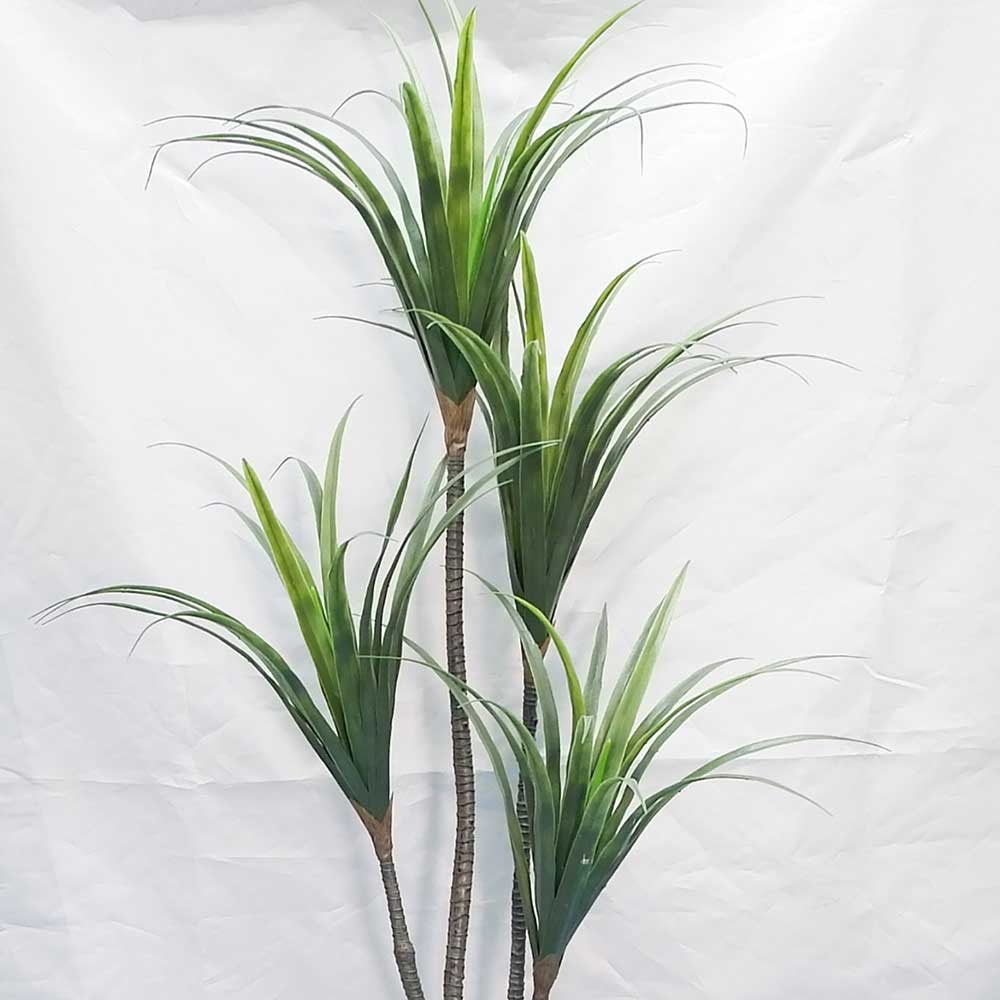 MC21-10753P 64＂h Yuca