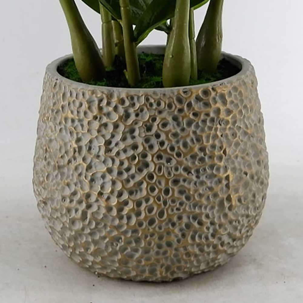 MC22-12092P 27＂H Zamioculcas