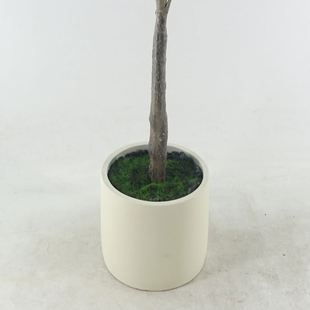MC22-12459S 39.5＂H Ficus lyrata