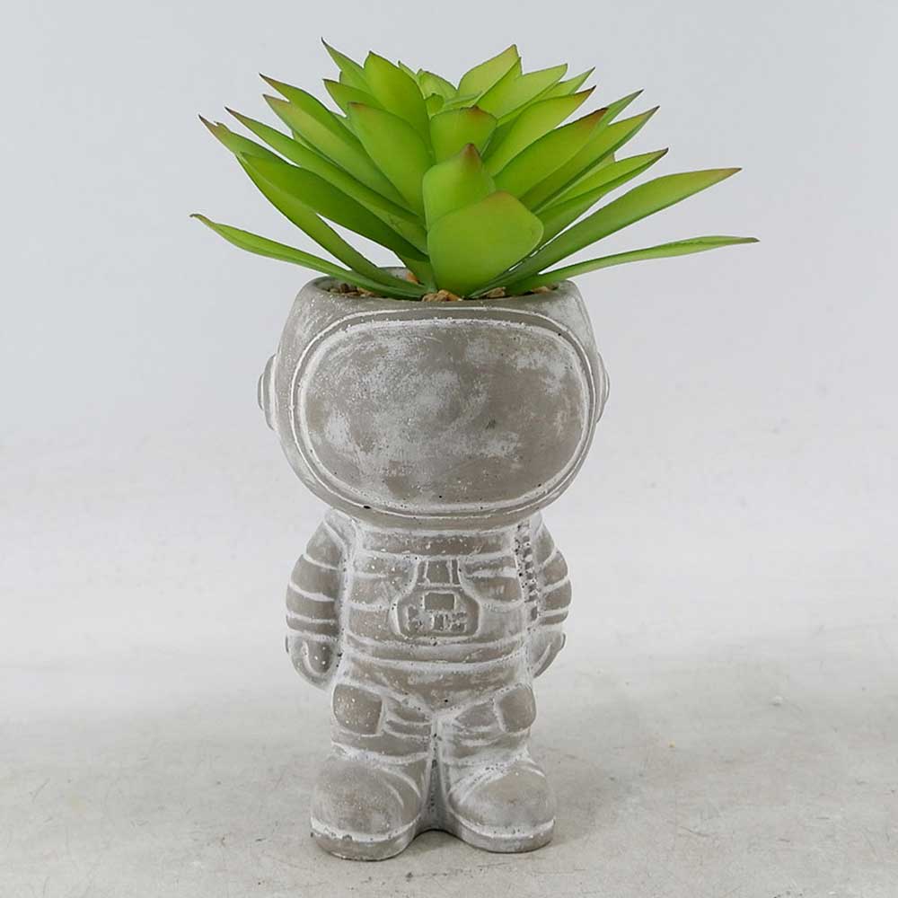 MC22-12096S 11＂H Succulent