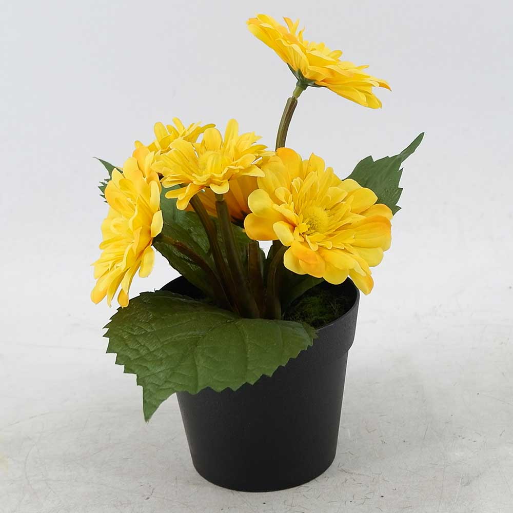 MC19-7725J Pink Gerbera