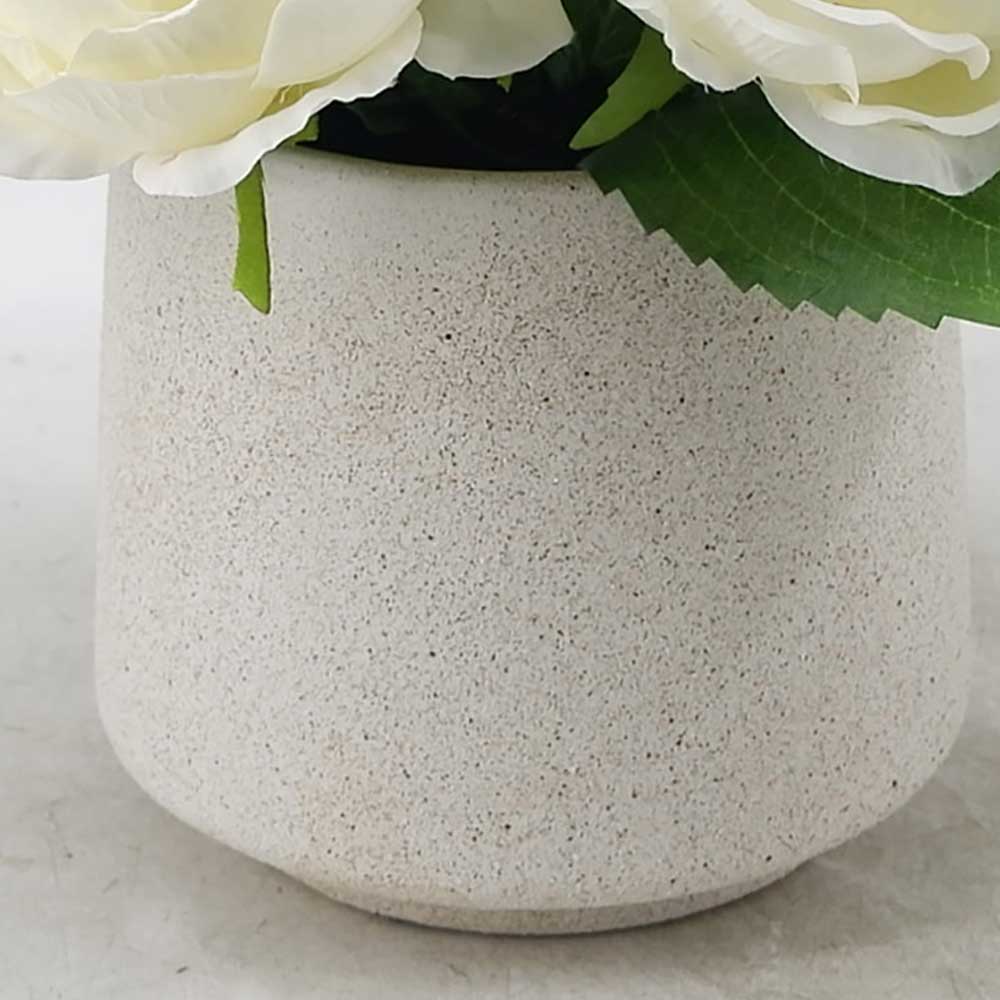 MC21-11314P 9.5＂H Rose