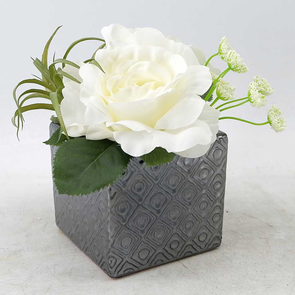 MC21-11640P 7.5＂H White rose