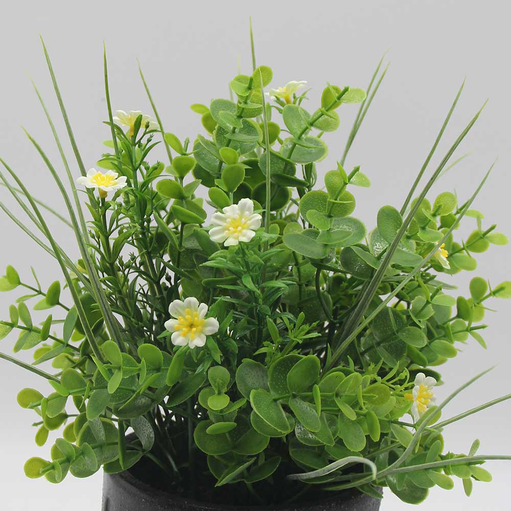 MC0019 Potted Grass