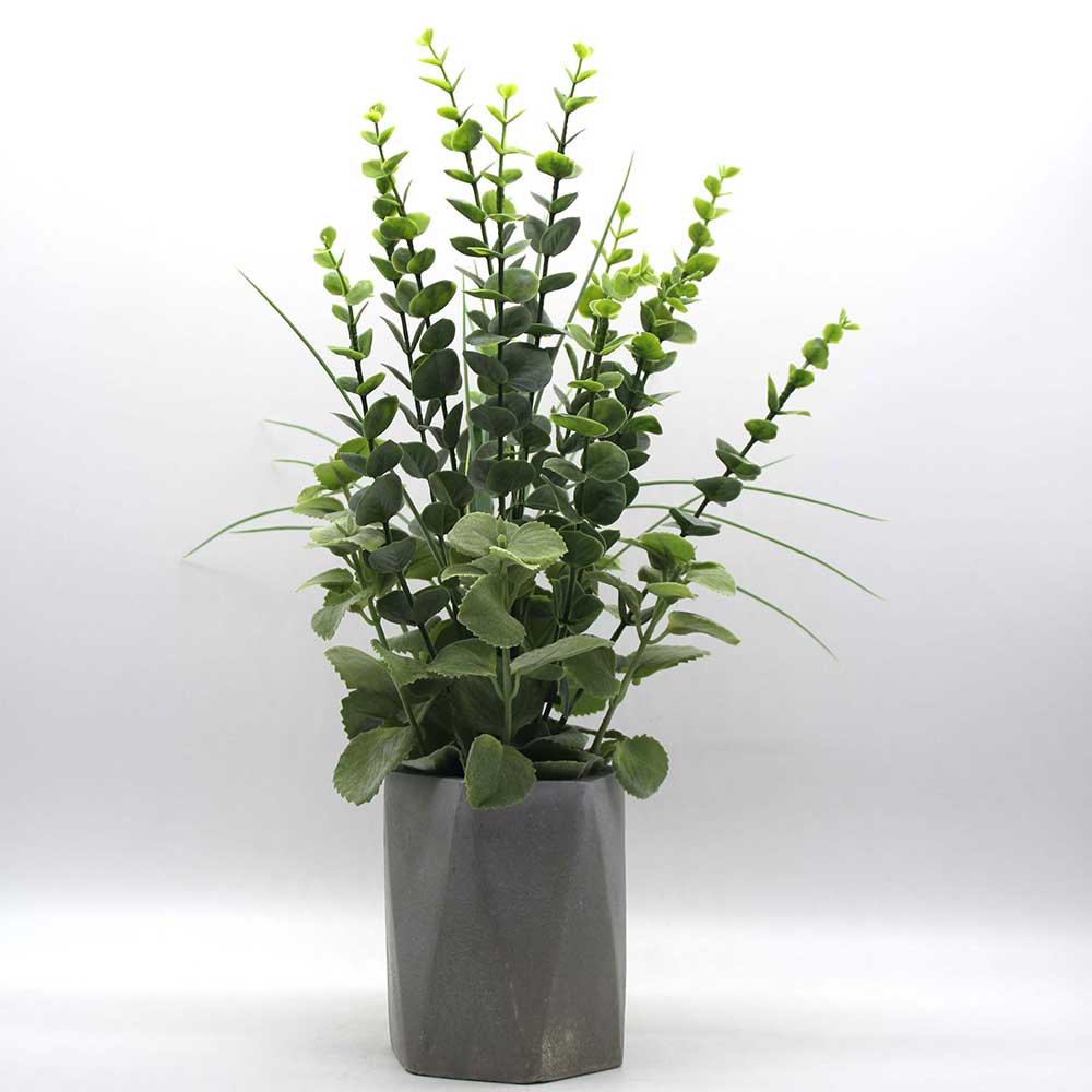 MC0224 Potted Grass