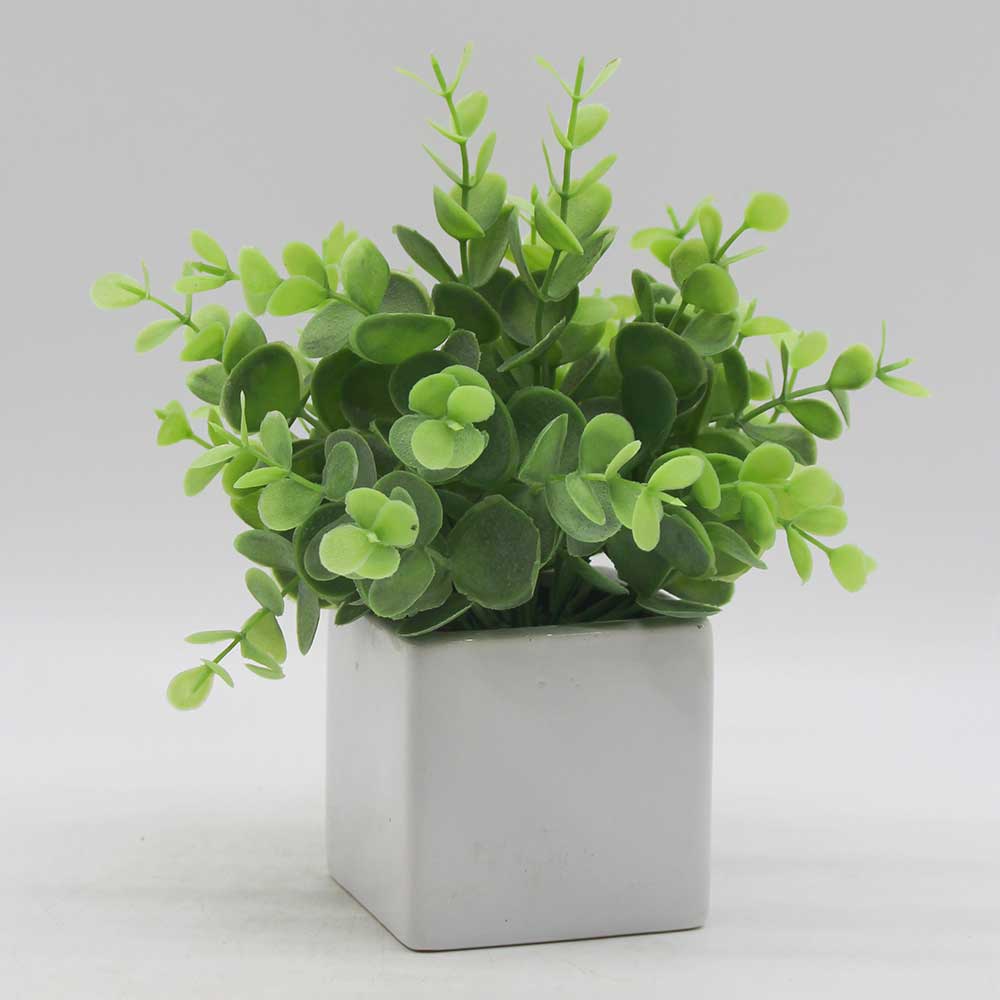 MC0266 Potted Grass