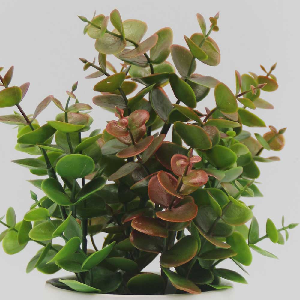 MC0268 Potted Grass