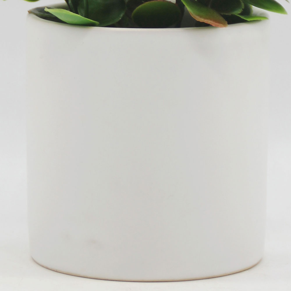 MC0268 Potted Grass