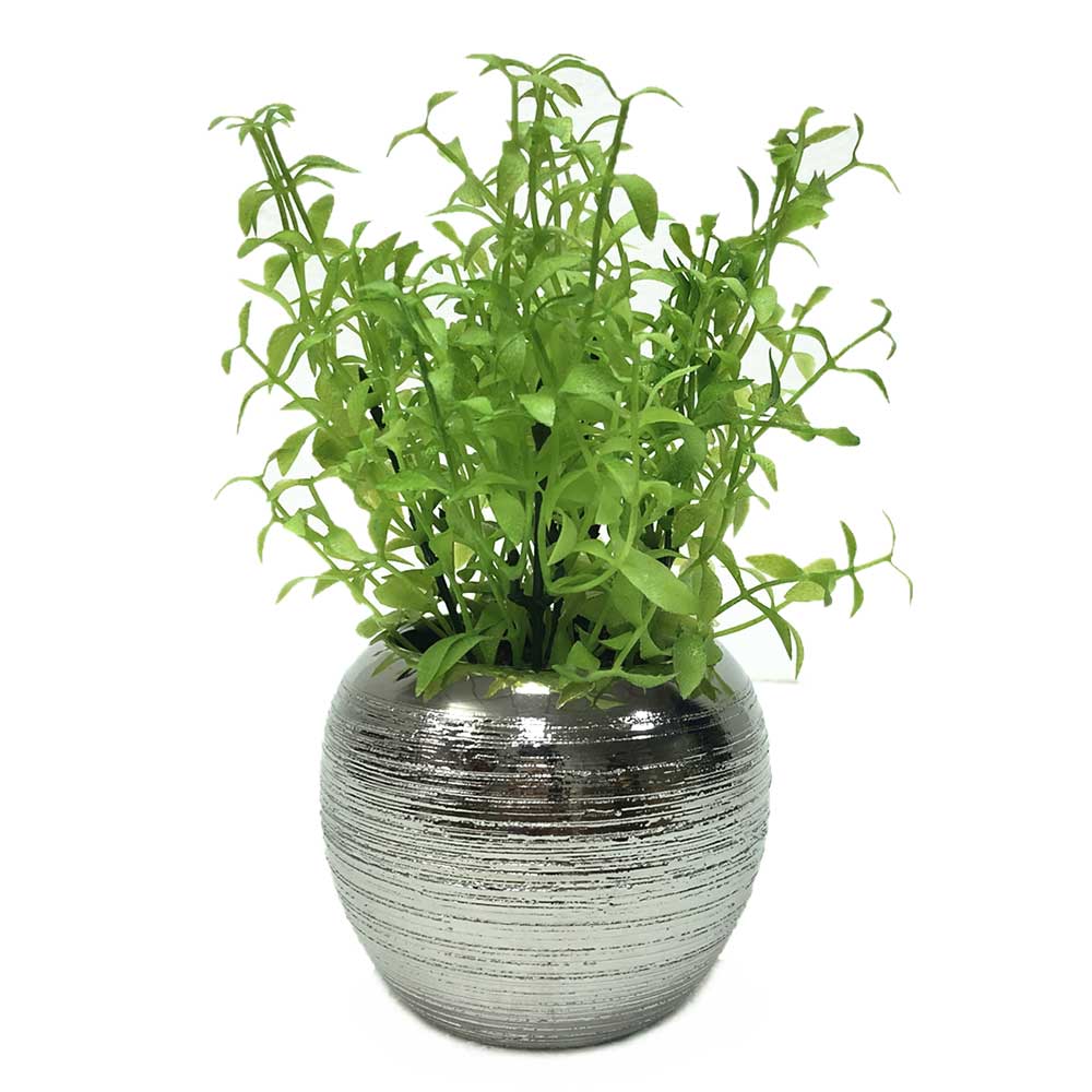 MC2297 Potted Grass