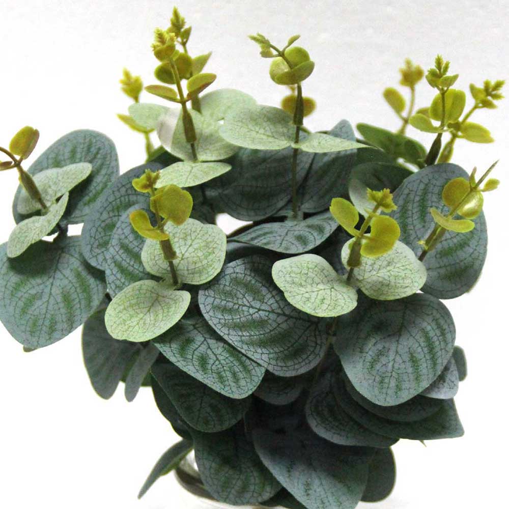 MC2511 Round Leaves Potted Grass