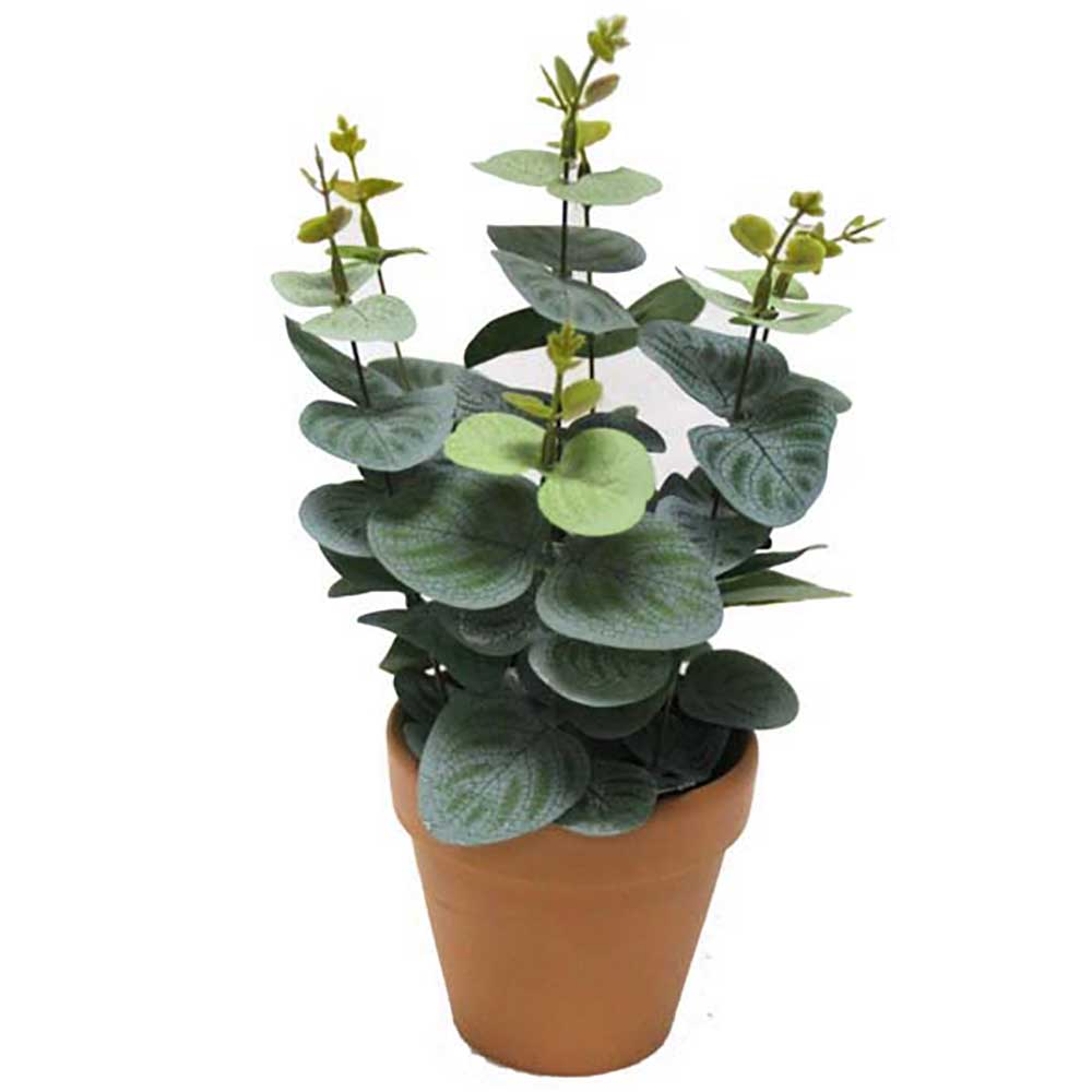 MC2512 Round Leaves Potted Grass