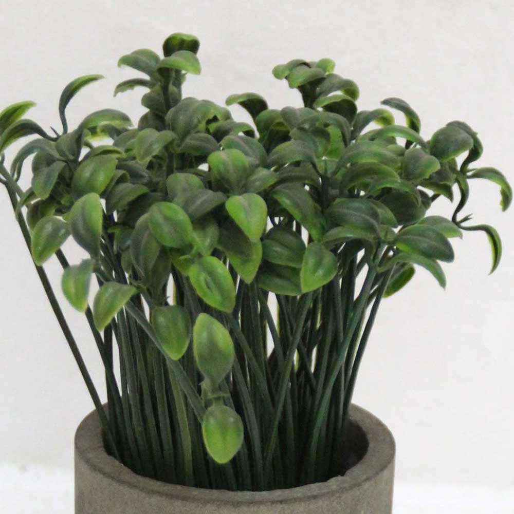 MC2621 Potted Grass