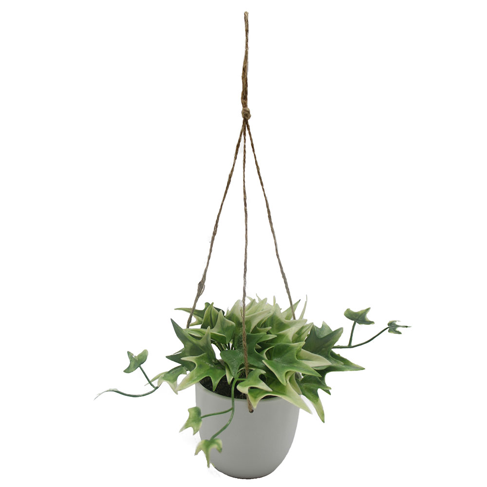 MC3055 Hanging Potted Grass