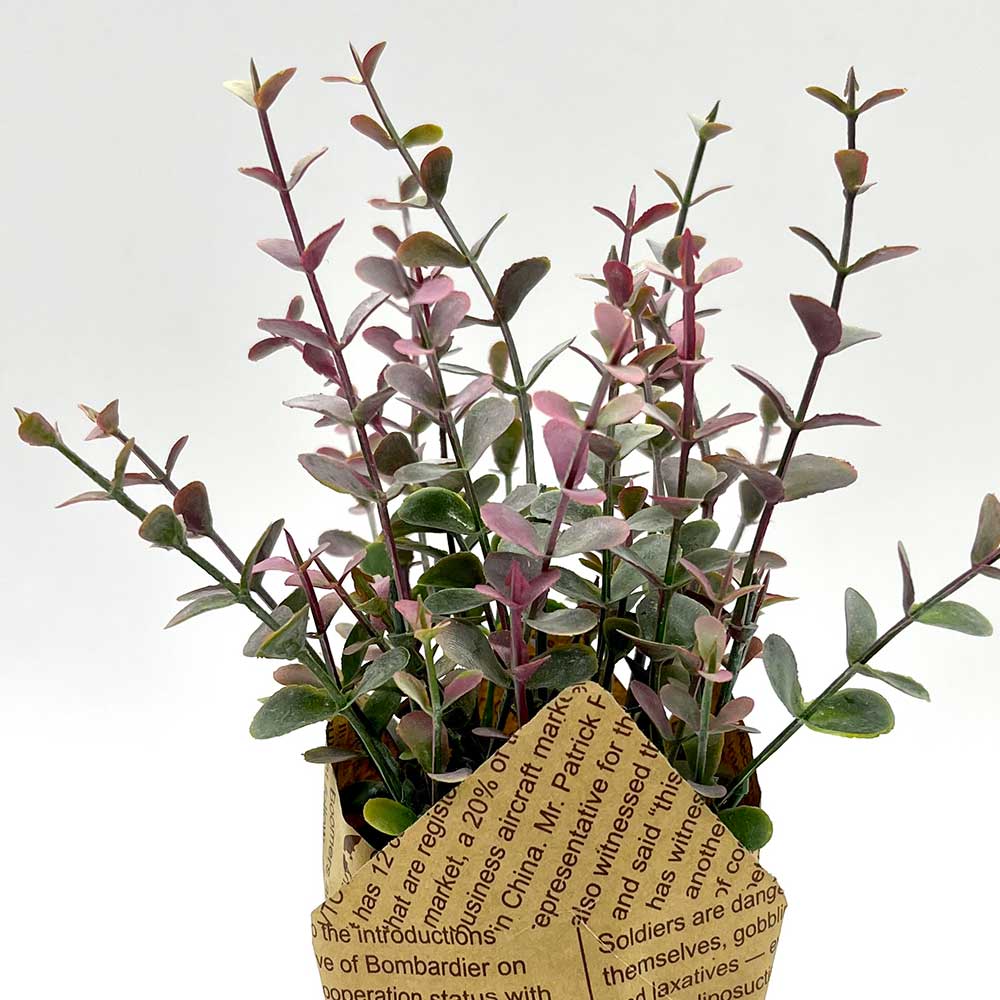 MC3896 Paper Potted Grass