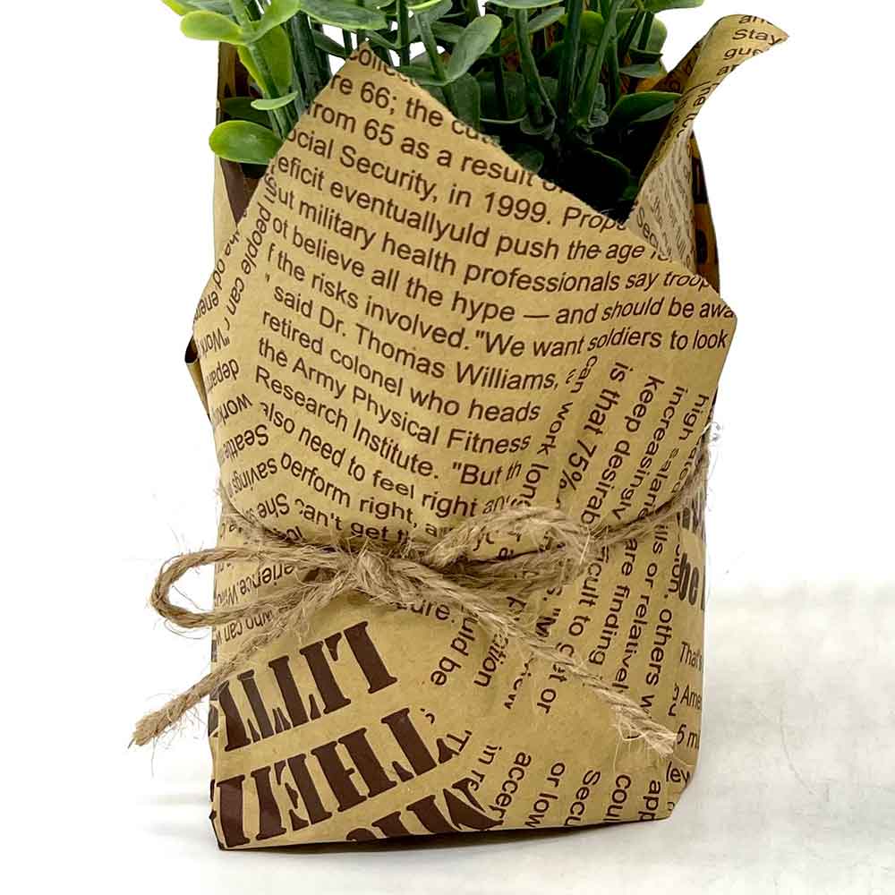 MC3896 Paper Potted Grass