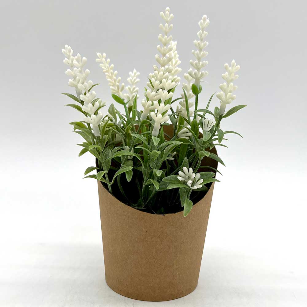 MC3894 Paper Potted Grass