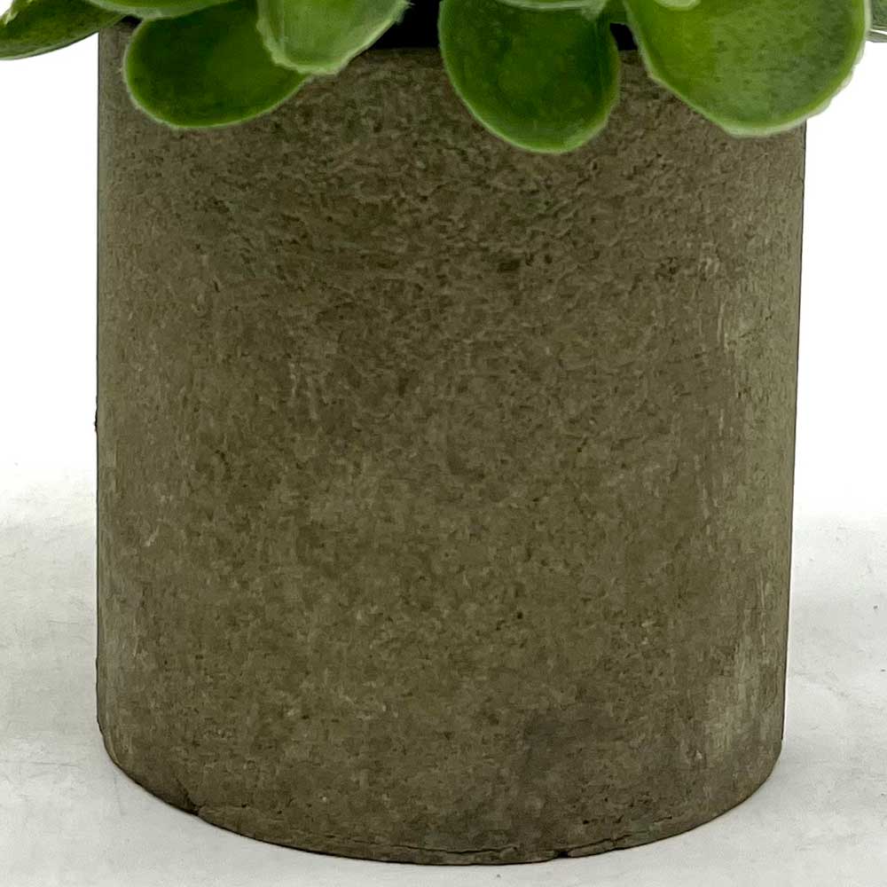 MC3390 Potted Grass