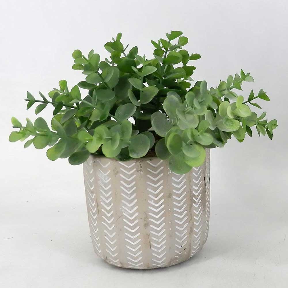 MC18-5486S Grass in pot