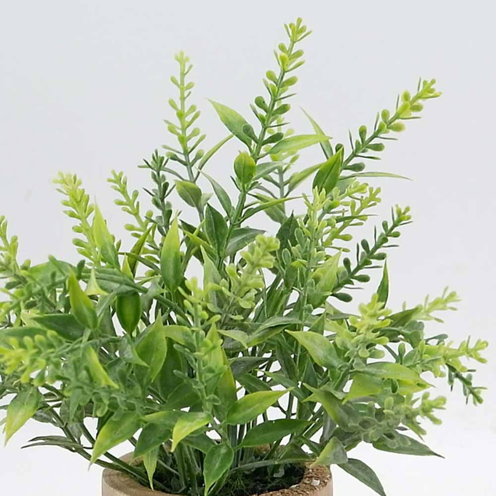 MC21-10167M Wooded potted Grass