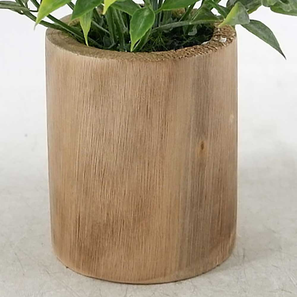 MC21-10167M Wooded potted Grass