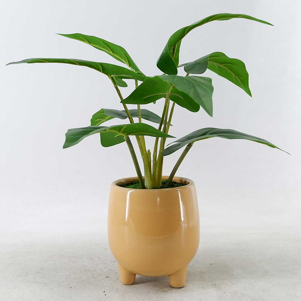 MC22-12162P 11.5＂H Leaves 