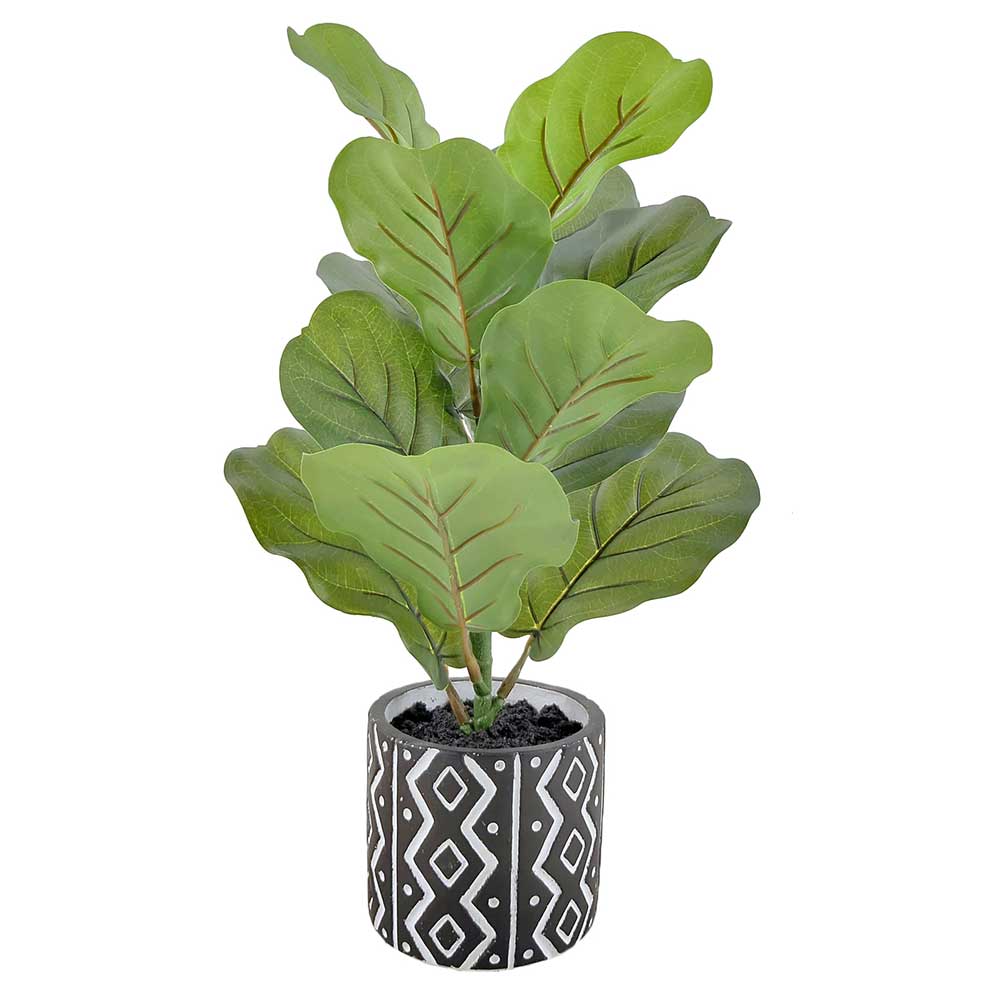 MC-P8478 Ficus tree