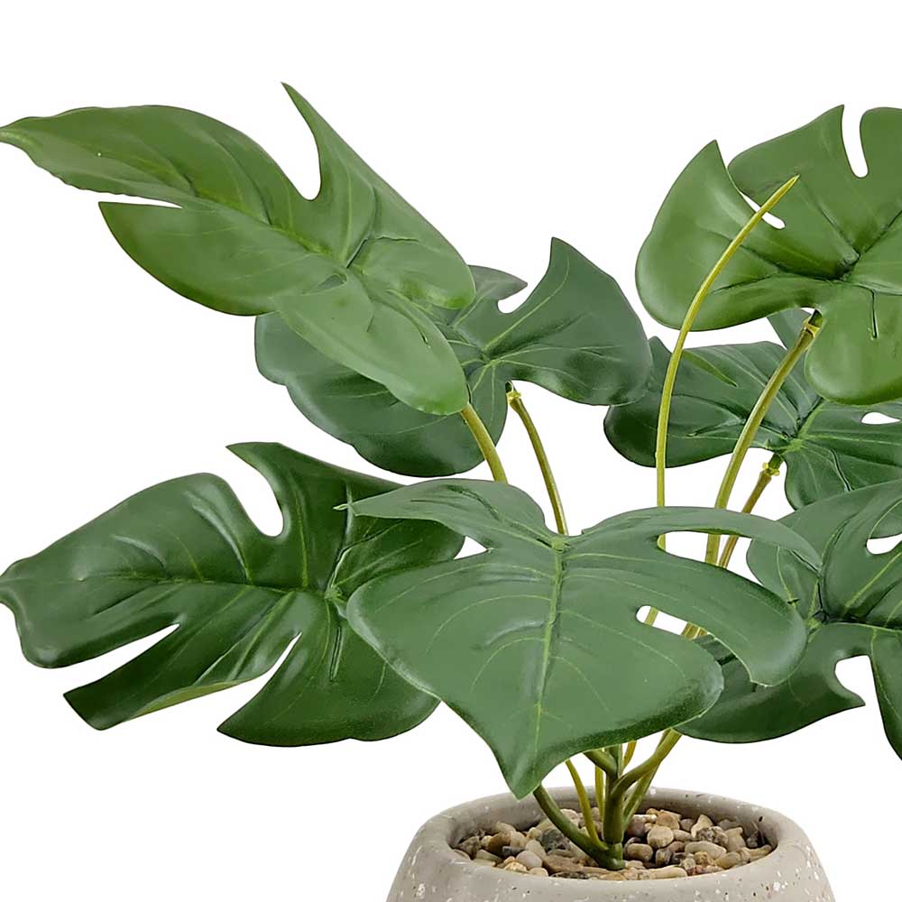 MC-HL0101 Monstera tree