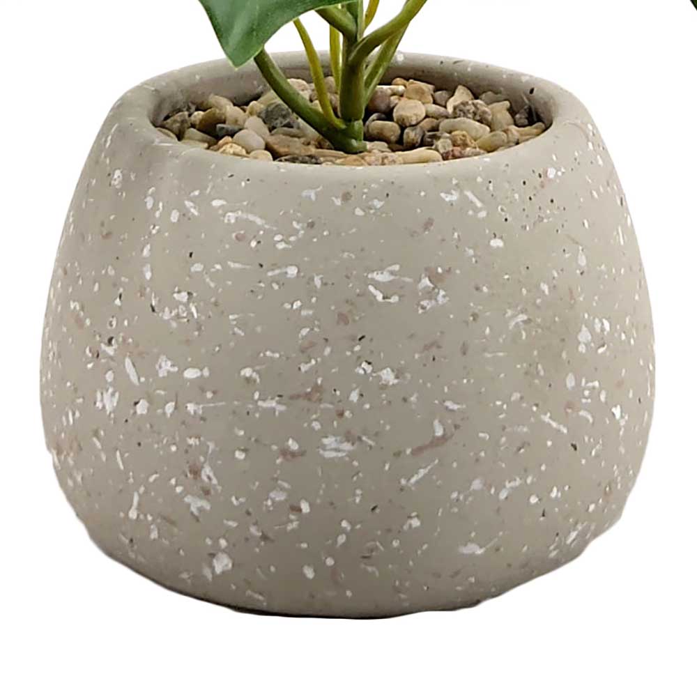MC-HL0101 Monstera tree