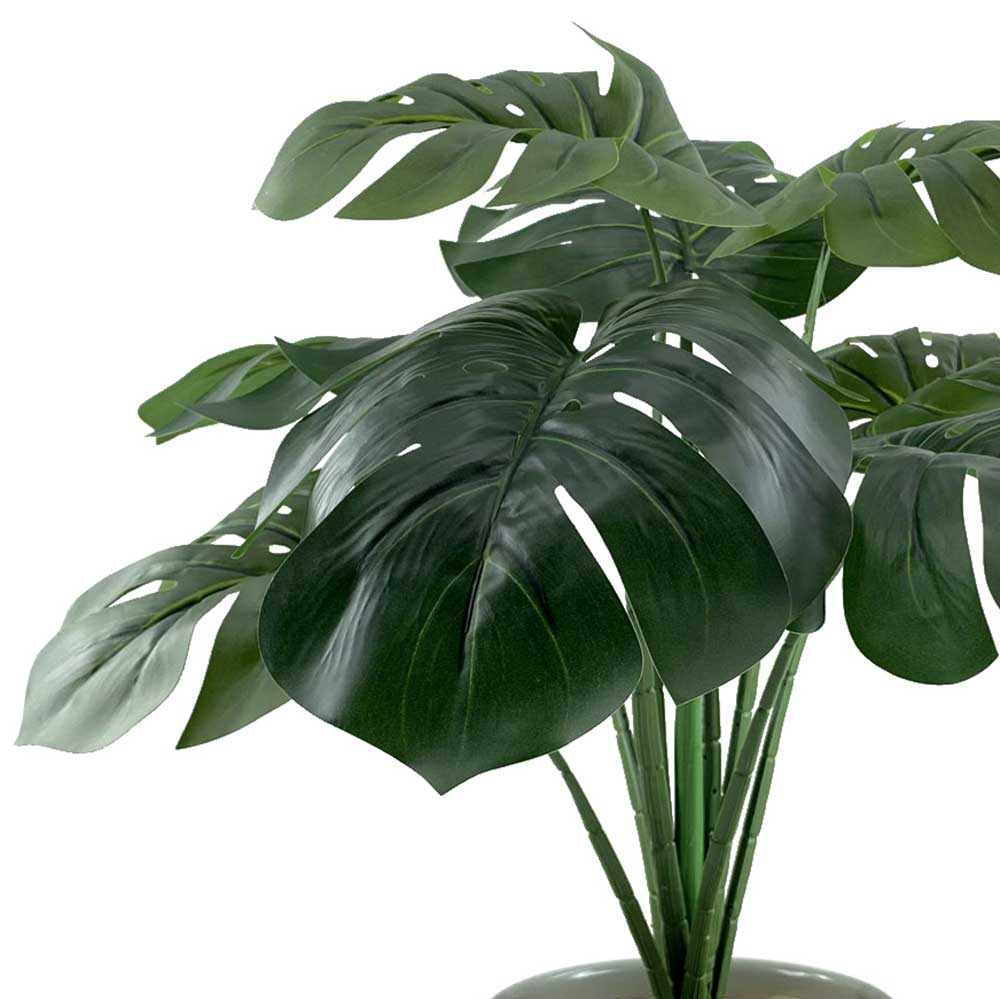 DM-P9802 Monstera tree