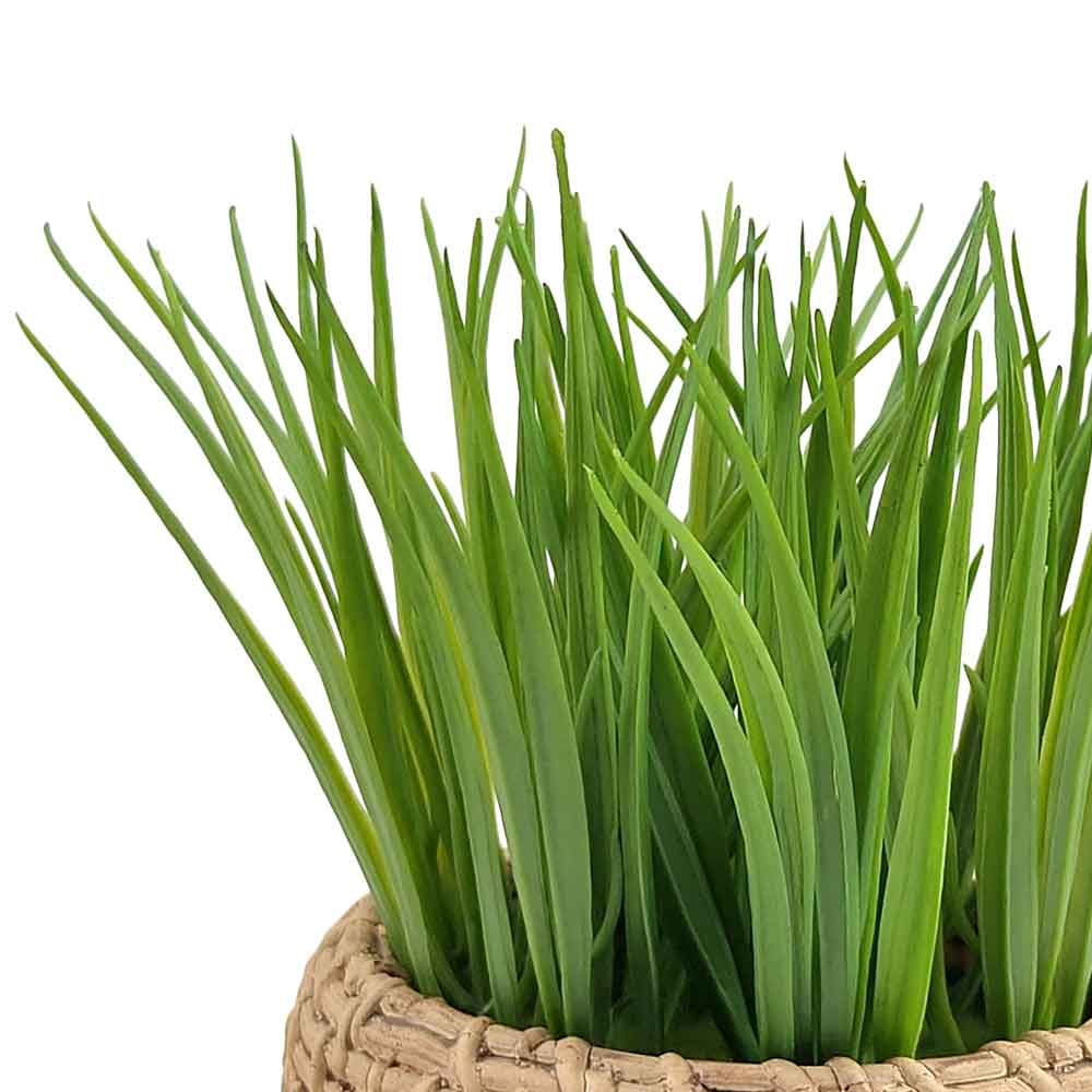 MC-RT1667 Grass