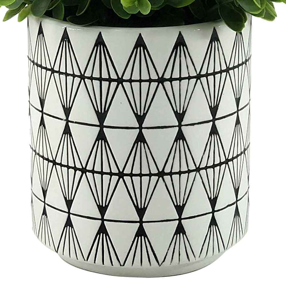 MC-P6889 Eucalyptus Potted