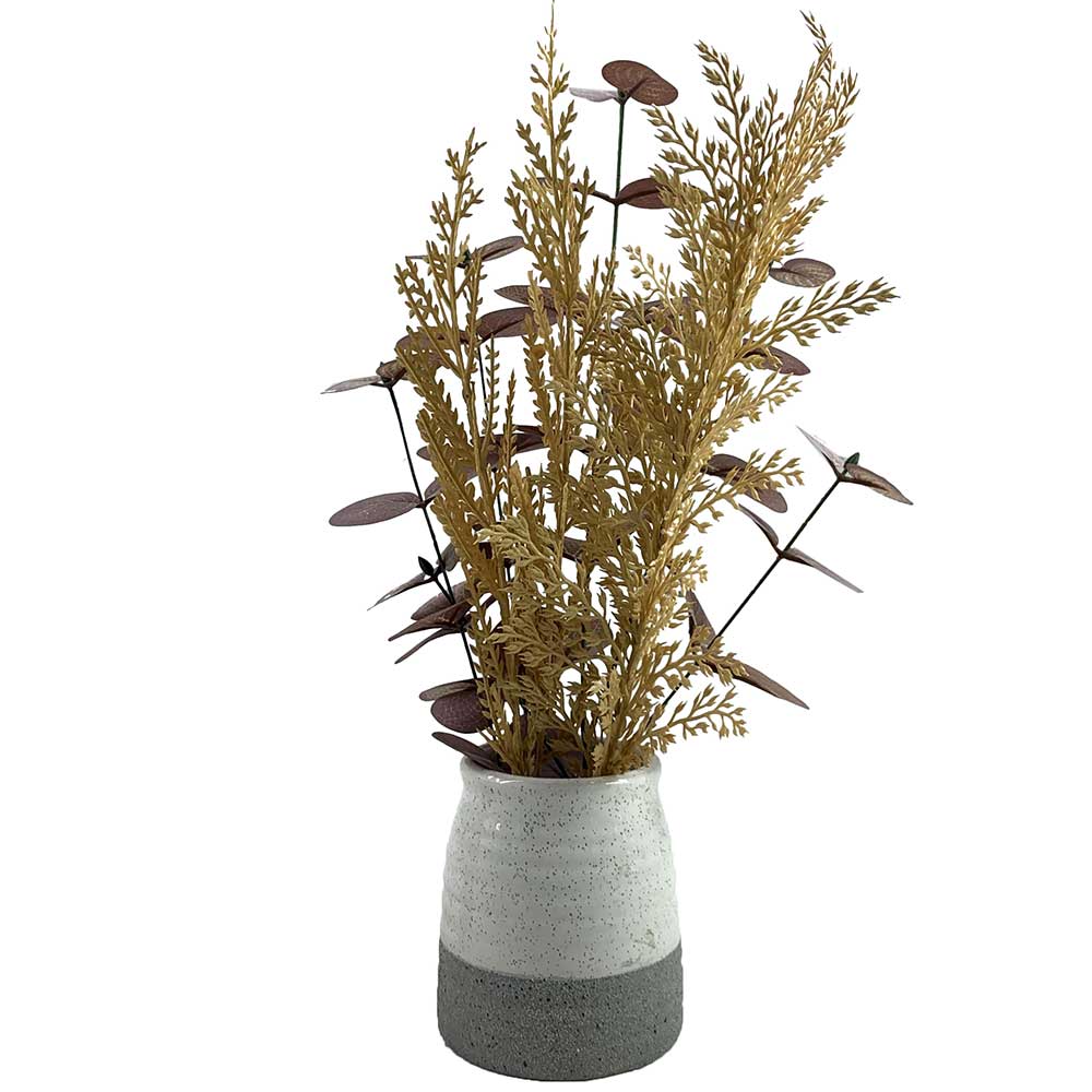 MC-P9737 Eucalyptus Potted