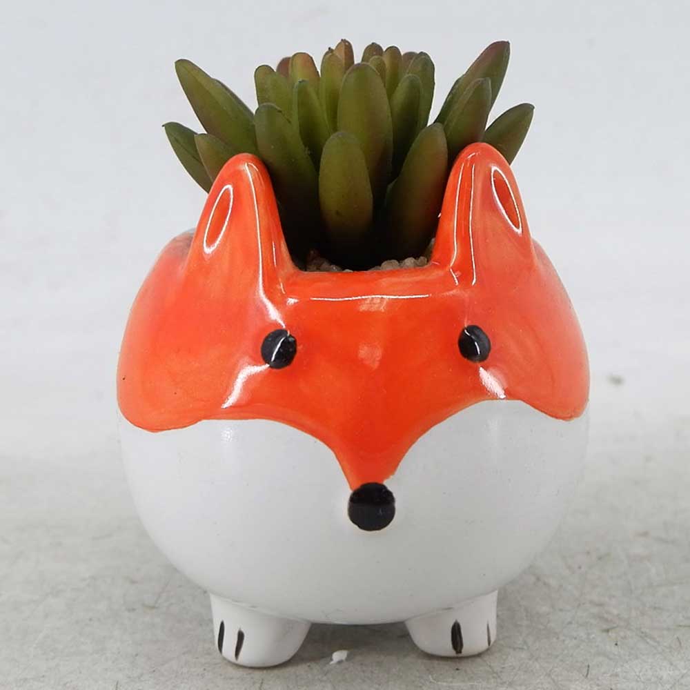 MC22-12810P 4.25＂H Succulent