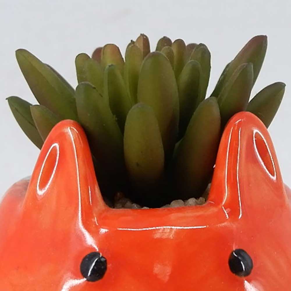 MC22-12810P 4.25＂H Succulent