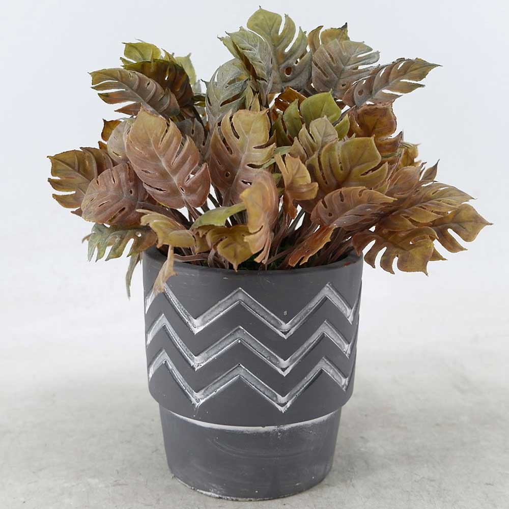 MC22-12811S Eucalyptus Potted