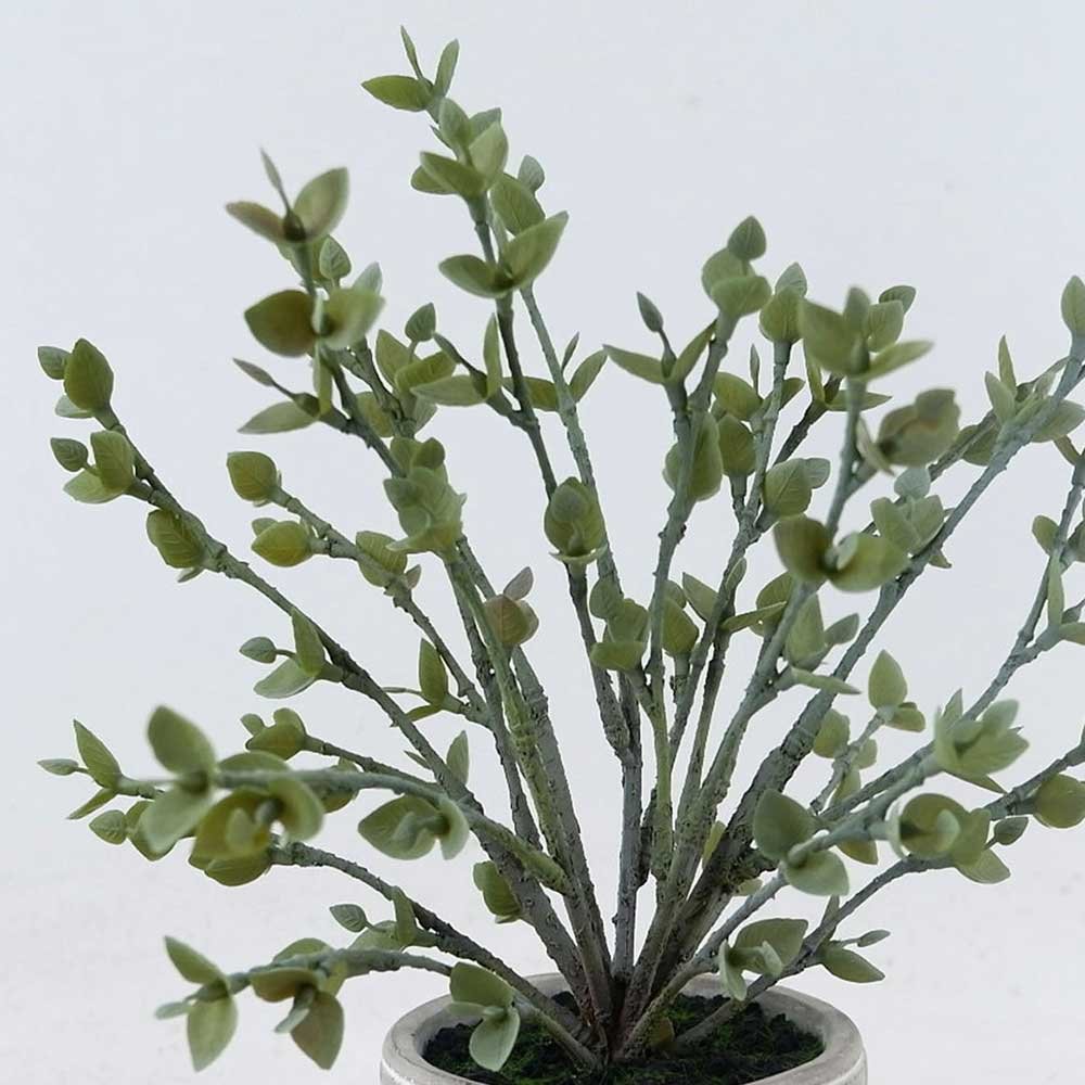 MC22-12773S Eucalyptus Leaves