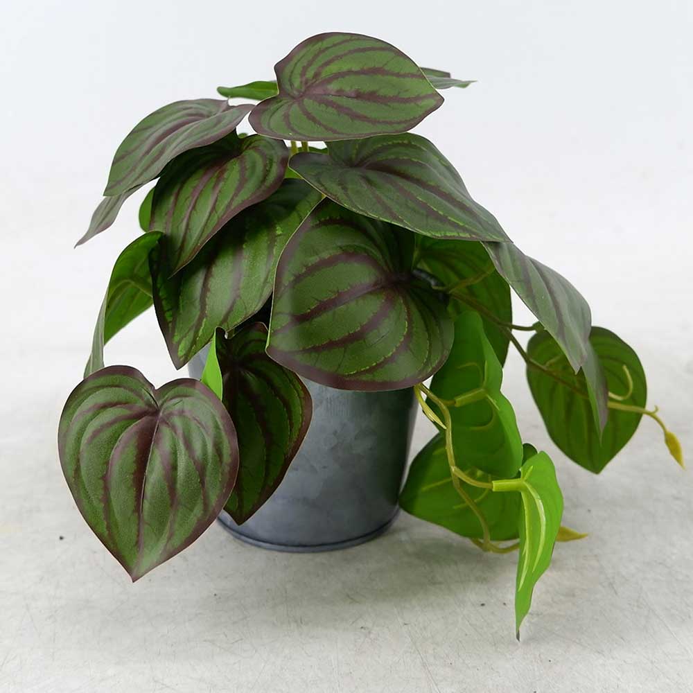 MC22-12879T 7＂H Houttuynia leaves