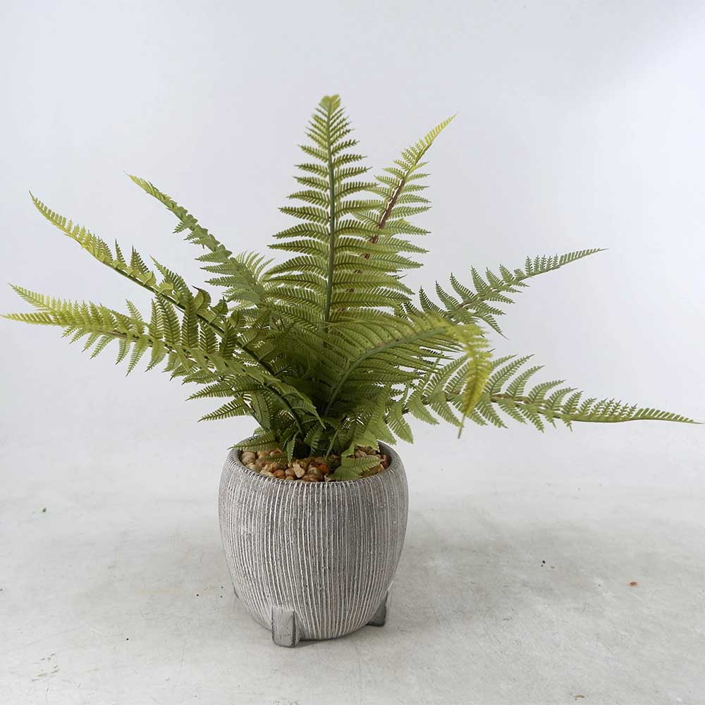 MC22-12901S 16＂H Fern