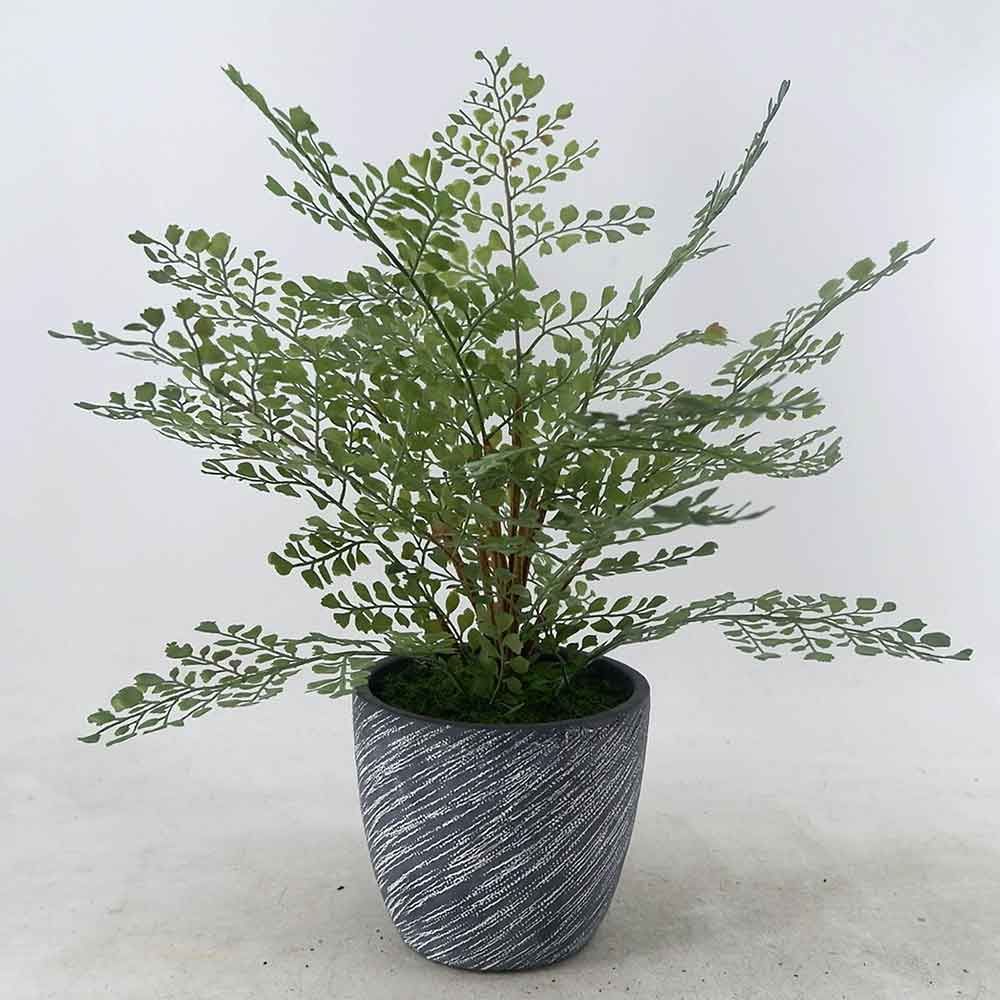 MC22-12921S 16＂H Fern