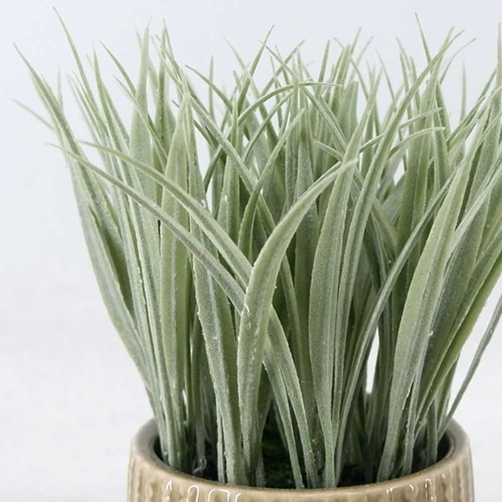 MC22-12915P 8＂H Grass
