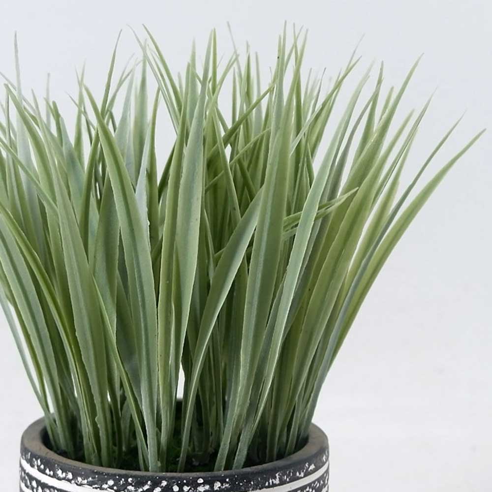 MC22-12916S 8.5＂H Grass