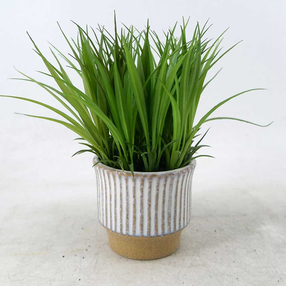 MC22-12922P 8.5＂H Grass