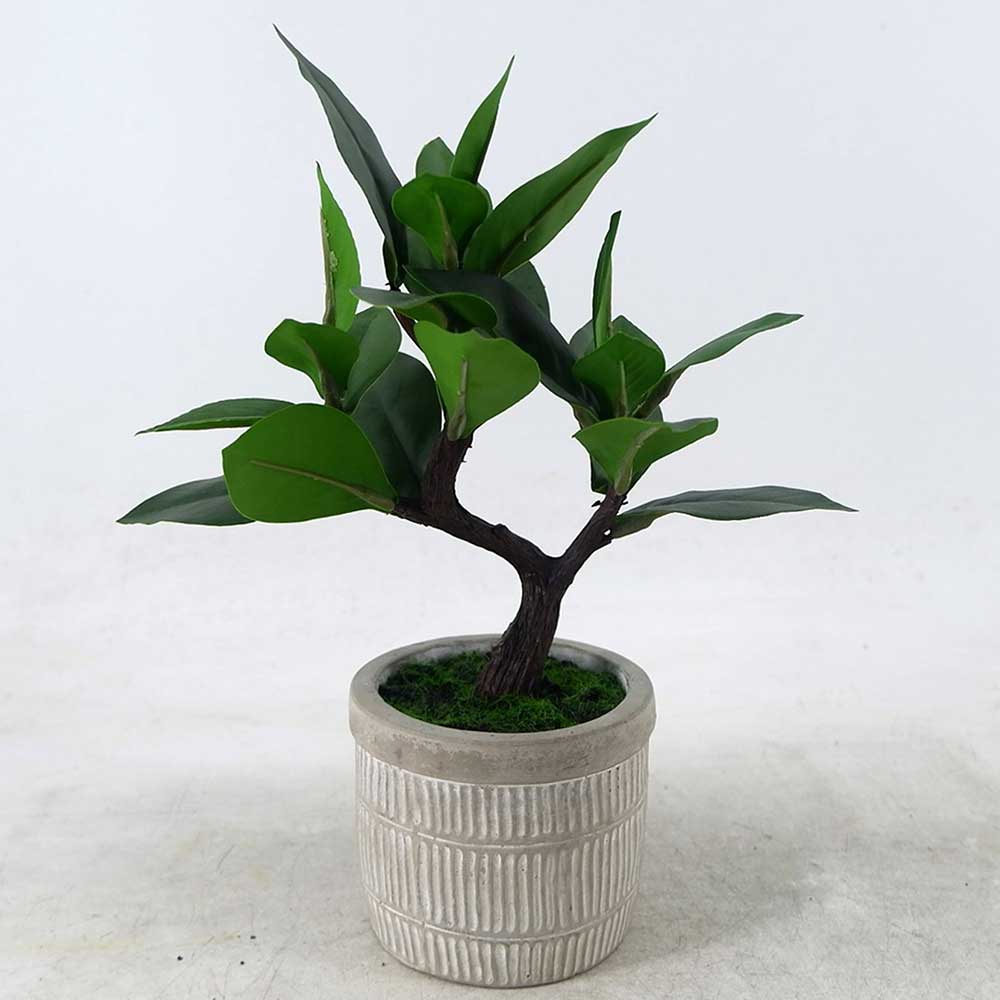 MC22-12898S 11＂H Mini tree 