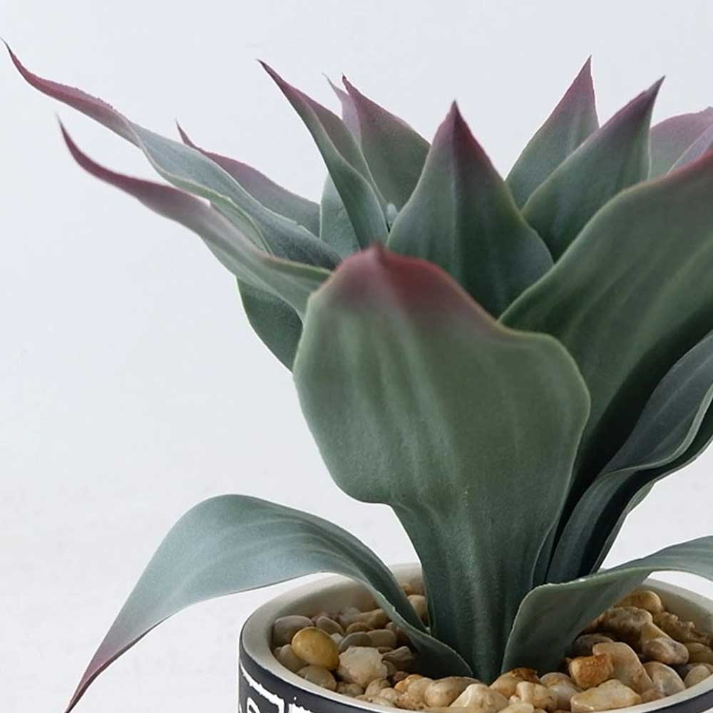 MC22-12876S 9.5＂H Aloes