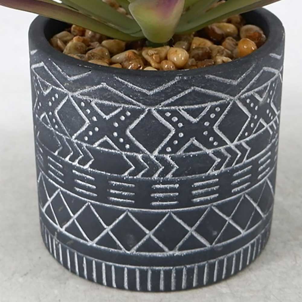 MC22-12889S 6.5＂H succulent