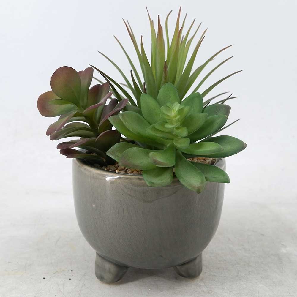 MC22-12888P 8.5＂H mix succulent 