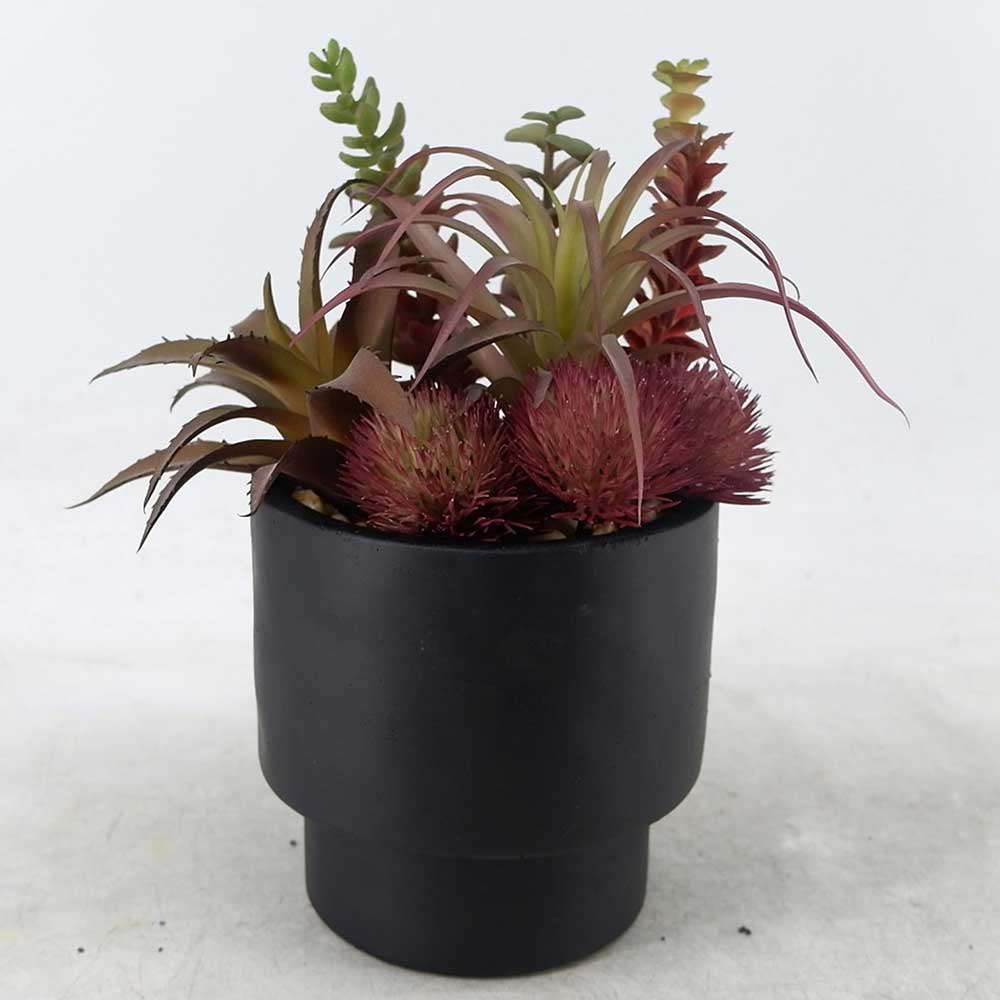 MC22-12892S 9.5＂H Mixed succulent