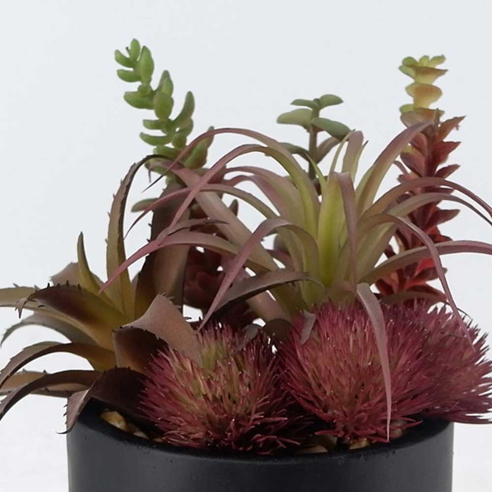 MC22-12892S 9.5＂H Mixed succulent