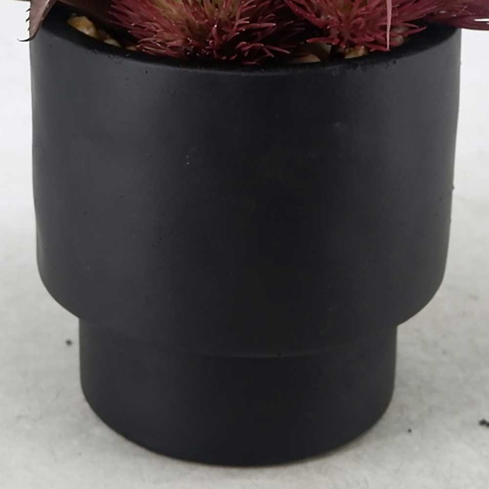 MC22-12892S 9.5＂H Mixed succulent